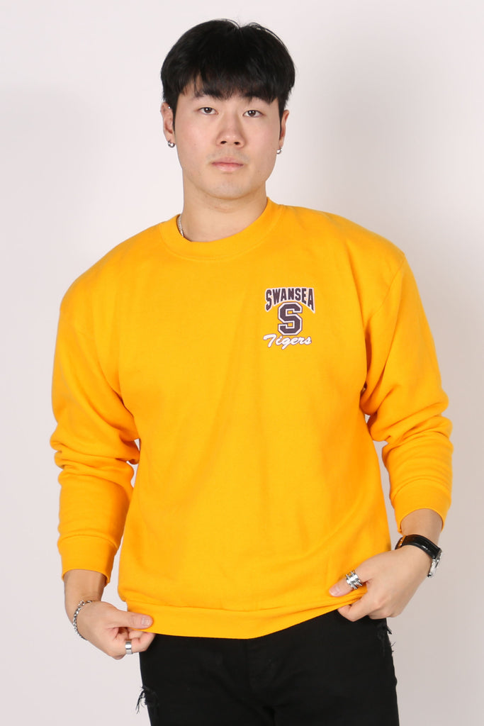 Vintage University of Swansea Crewneck XL