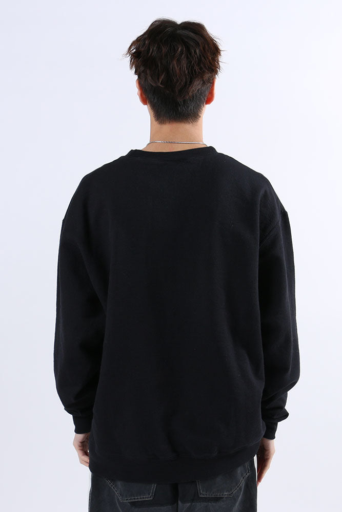American University Vintage Northeastern University Crewneck L